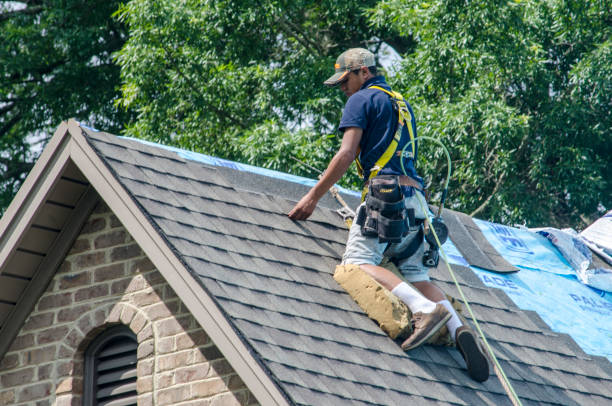 Quick and Trustworthy Emergency Roof Repair Services in Avalon, NJ